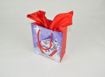 Gift bag